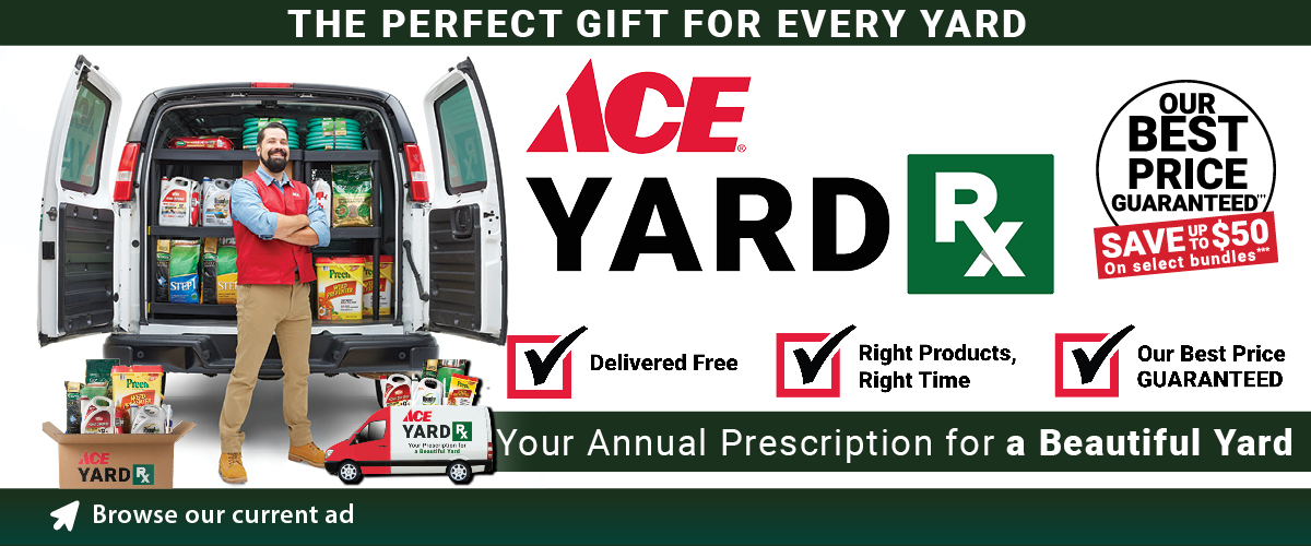 Ace Yard RX Holiday