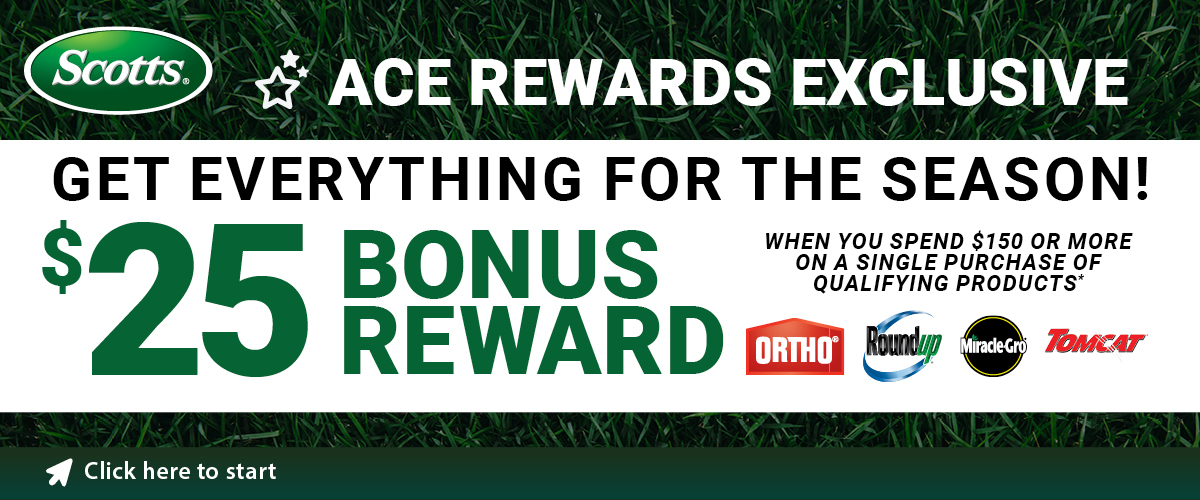 March $25 Bonus Reward 3