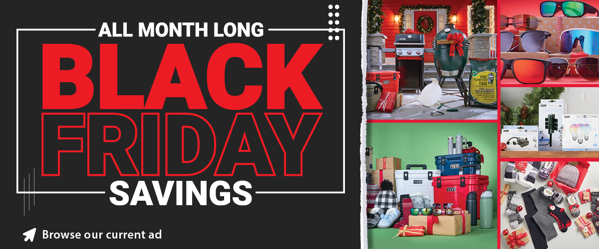 November Black Friday