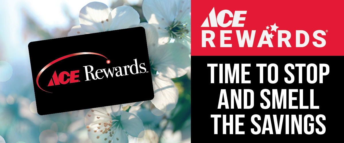 Ace Rewards 