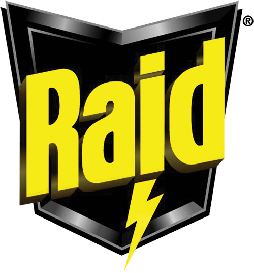 Raid