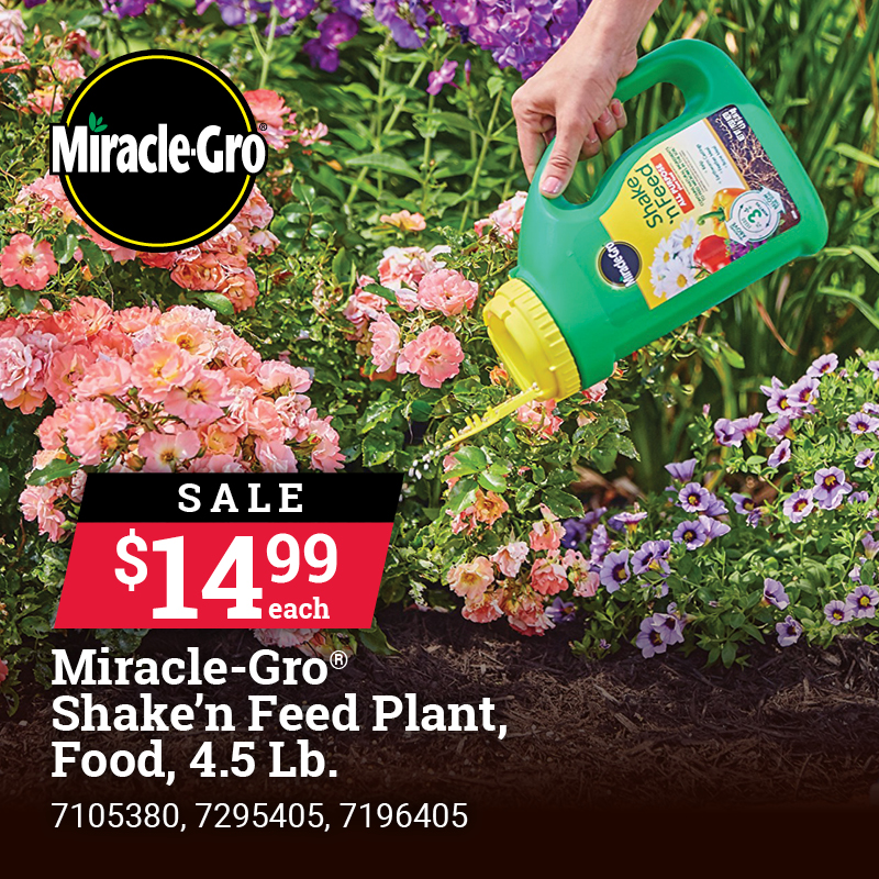 Select Miracle-Gro® Shake 'N Feed® All Purpose Plant Food, 4.5 Lb.