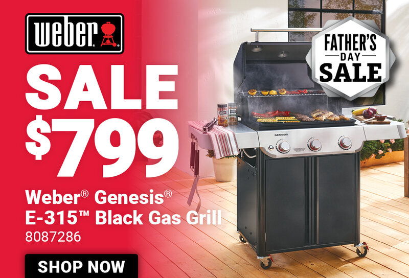 Weber® Genesis® E-315™ Gas Grill