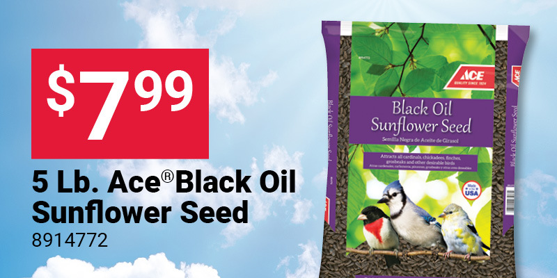 Ace® Black Oil Sunflower Seed, 5 Lb.