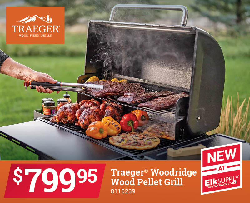 Traeger® Woodridge Wood Pellet Grill