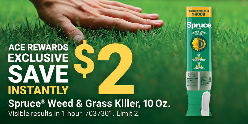 Spruce EZ-AIM Weed & Grass Killer, 10 Oz.